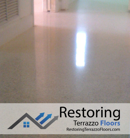 Cleaning Repair Terrazzo Floors Miami