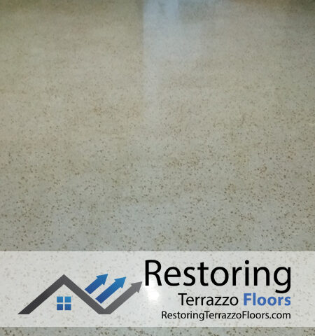Terrazzo Floor Restoration Service